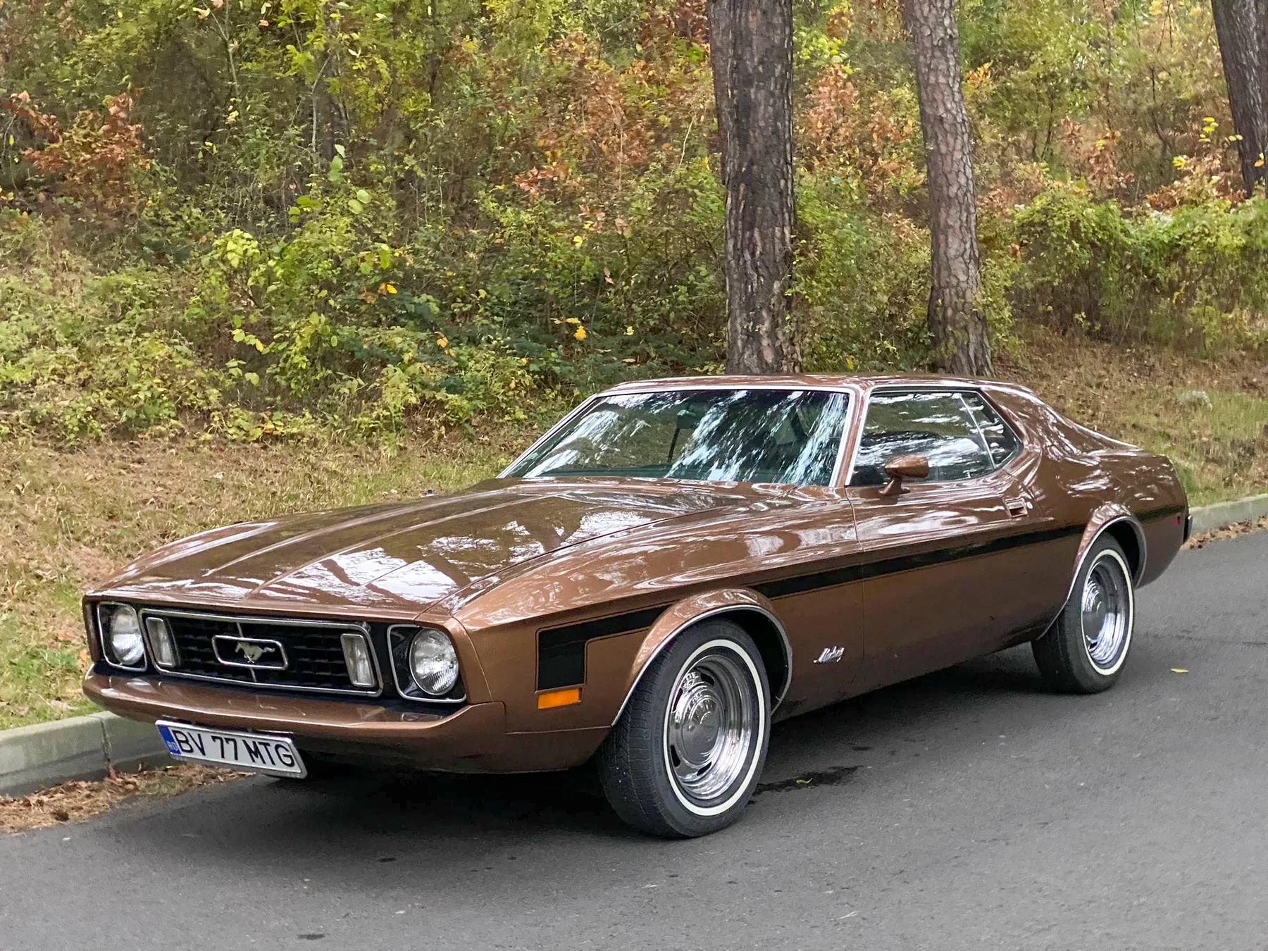 Ford Mustang — The result